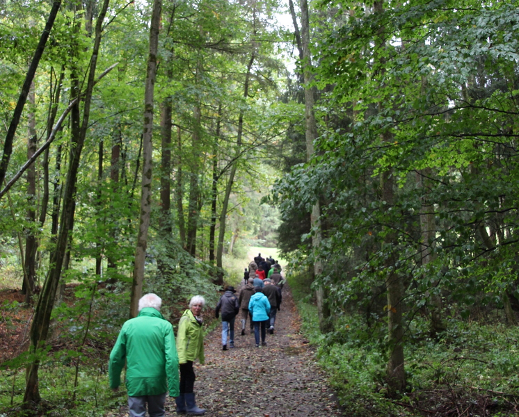 Unser Wald ver&auml;ndert sich - Eine Veranstaltung von Barbara Becker, MdL mit Waldgang und Betriebsbesichtigung in Geiselwind am 2.10.2019<br />