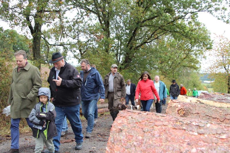 Unser Wald ver&auml;ndert sich - Eine Veranstaltung von Barbara Becker, MdL mit Waldgang und Betriebsbesichtigung in Geiselwind am 2.10.2019<br />