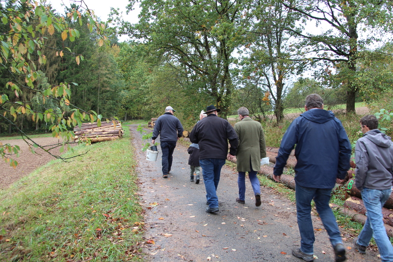 Unser Wald ver&auml;ndert sich - Eine Veranstaltung von Barbara Becker, MdL mit Waldgang und Betriebsbesichtigung in Geiselwind am 2.10.2019<br />