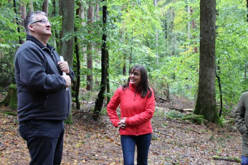 Unser Wald ver&auml;ndert sich - Eine Veranstaltung von Barbara Becker, MdL mit Waldgang und Betriebsbesichtigung in Geiselwind am 2.10.2019<br />