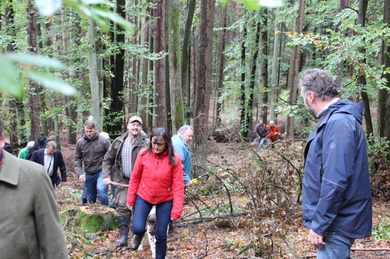 Unser Wald ver&auml;ndert sich - Eine Veranstaltung von Barbara Becker, MdL mit Waldgang und Betriebsbesichtigung in Geiselwind am 2.10.2019<br />