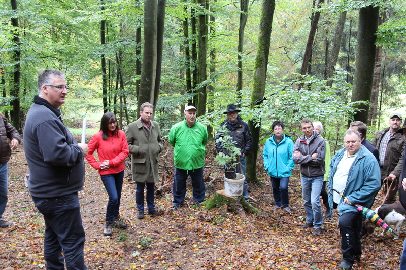 Unser Wald ver&auml;ndert sich - Eine Veranstaltung von Barbara Becker, MdL mit Waldgang und Betriebsbesichtigung in Geiselwind am 2.10.2019<br />