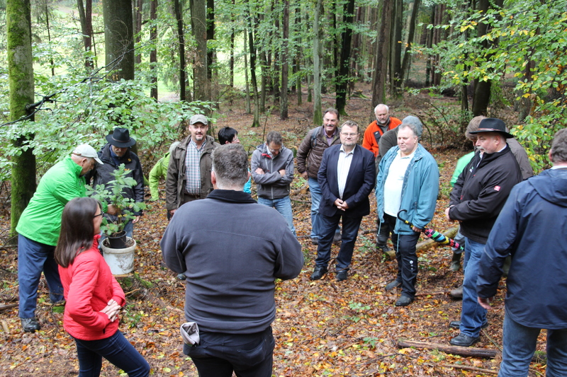 Unser Wald ver&auml;ndert sich - Eine Veranstaltung von Barbara Becker, MdL mit Waldgang und Betriebsbesichtigung in Geiselwind am 2.10.2019<br />