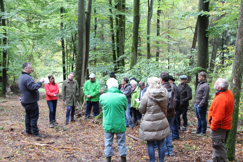 Unser Wald ver&auml;ndert sich - Eine Veranstaltung von Barbara Becker, MdL mit Waldgang und Betriebsbesichtigung in Geiselwind am 2.10.2019<br />