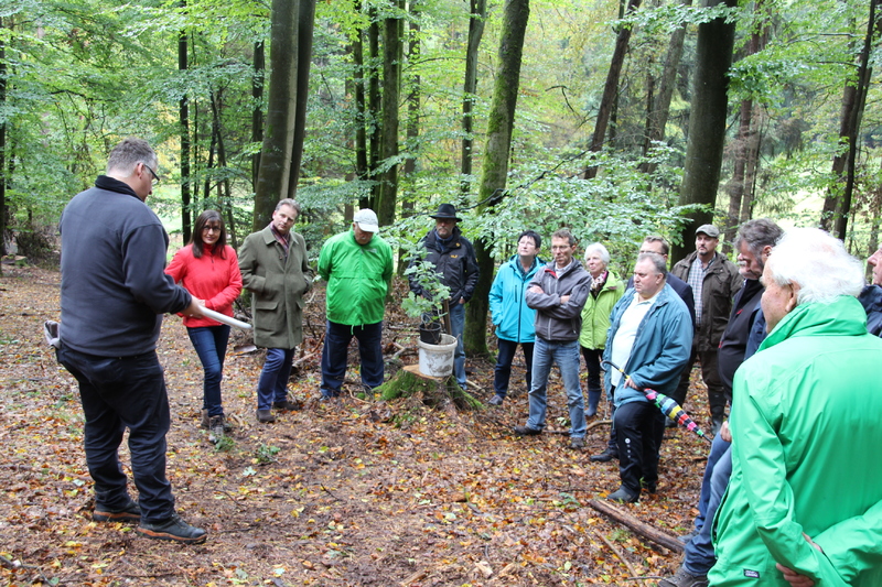 Unser Wald ver&auml;ndert sich - Eine Veranstaltung von Barbara Becker, MdL mit Waldgang und Betriebsbesichtigung in Geiselwind am 2.10.2019<br />