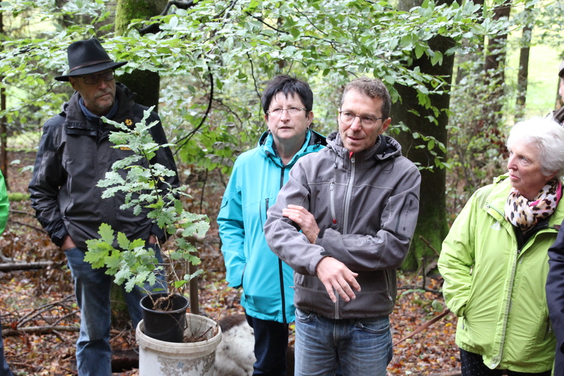 Unser Wald ver&auml;ndert sich - Eine Veranstaltung von Barbara Becker, MdL mit Waldgang und Betriebsbesichtigung in Geiselwind am 2.10.2019<br />