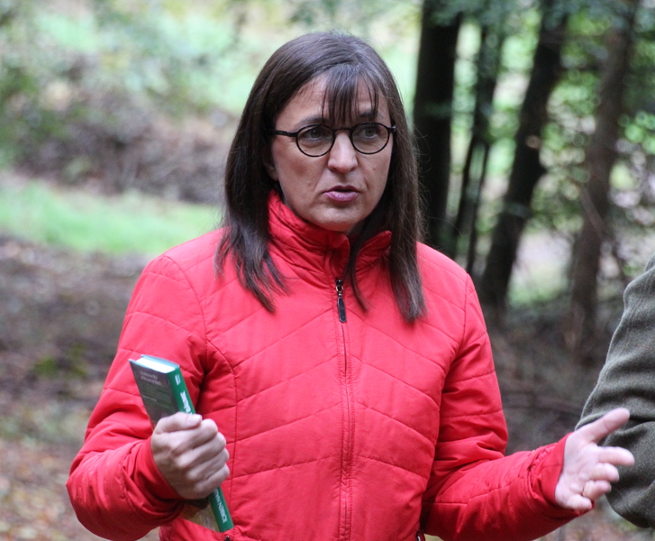 Unser Wald ver&auml;ndert sich - Eine Veranstaltung von Barbara Becker, MdL mit Waldgang und Betriebsbesichtigung in Geiselwind am 2.10.2019<br />