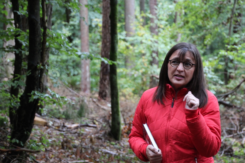 Unser Wald ver&auml;ndert sich - Eine Veranstaltung von Barbara Becker, MdL mit Waldgang und Betriebsbesichtigung in Geiselwind am 2.10.2019<br />