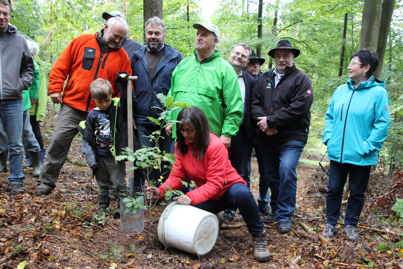 Unser Wald ver&auml;ndert sich - Eine Veranstaltung von Barbara Becker, MdL mit Waldgang und Betriebsbesichtigung in Geiselwind am 2.10.2019<br />