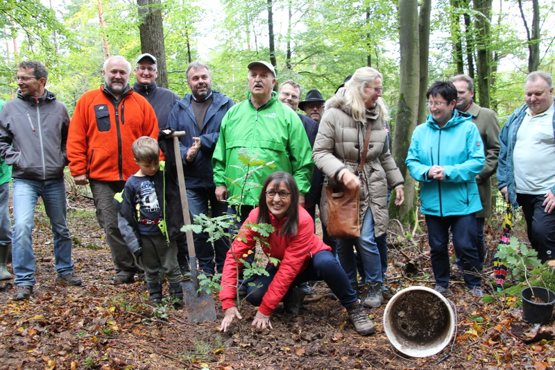 Unser Wald ver&auml;ndert sich - Eine Veranstaltung von Barbara Becker, MdL mit Waldgang und Betriebsbesichtigung in Geiselwind am 2.10.2019<br />